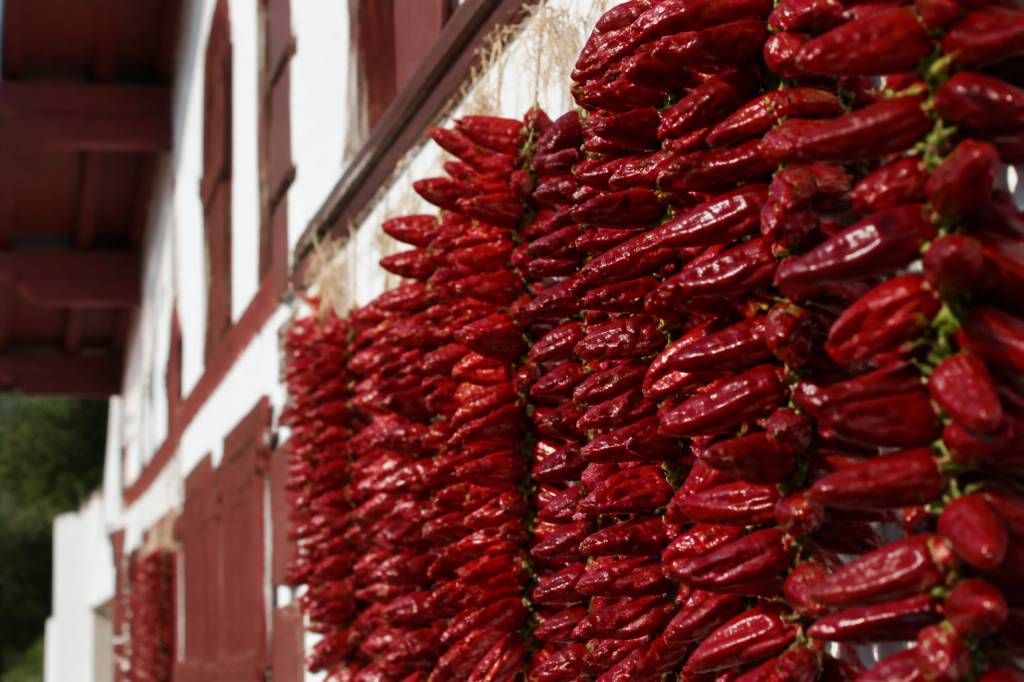 Le piment d’Espelette, un produit phare du territoire : histoire et usages